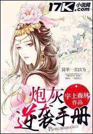 海贼世界里的刀客