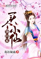 九州之王叶九天